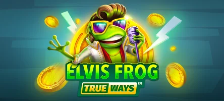 <strong>Up to 150 Free Spins on each deposit</strong>